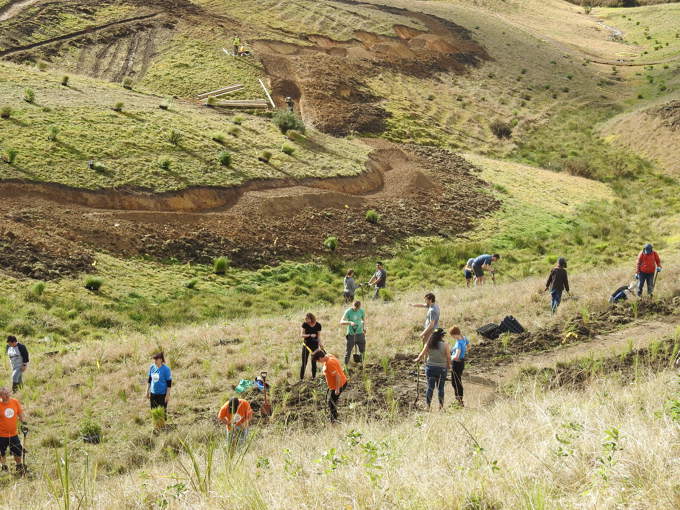 Tree Planting at Totara Park