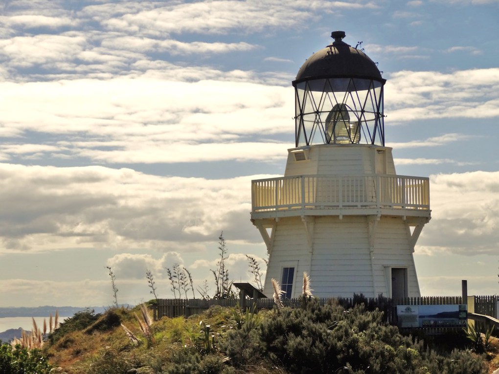 Manukau Harbour Magic 2