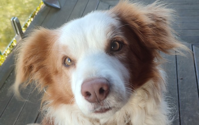 Mango 3_cx3fnw3s.jpg