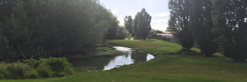 Harania Stream part of the Making Space for Water projects.