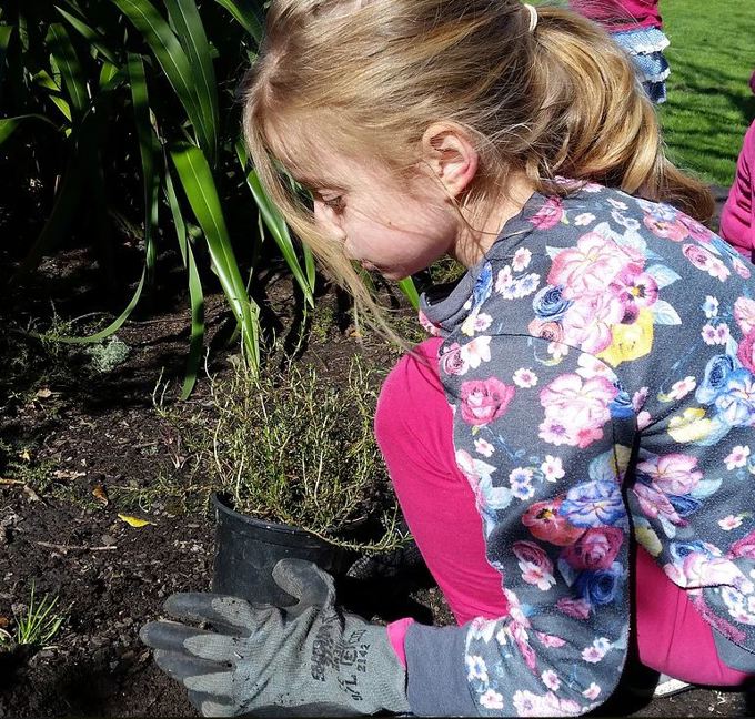 Grant to support recycling and tree planting in Waitematā