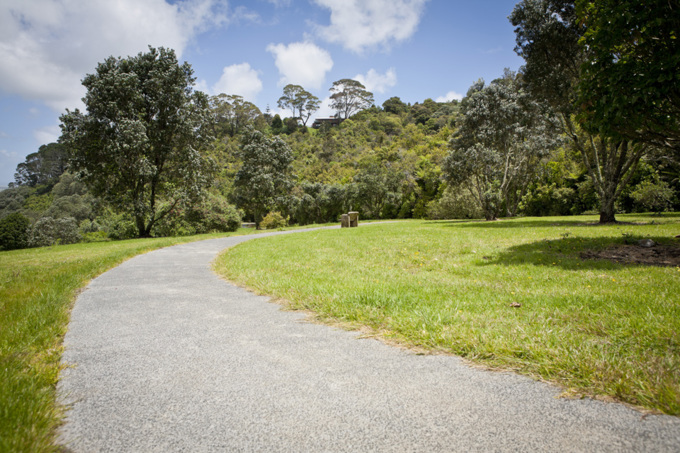 New Maori and Indian street names in Puketapapa