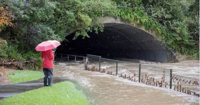 Reducing flooding a key focus for Howick councillor