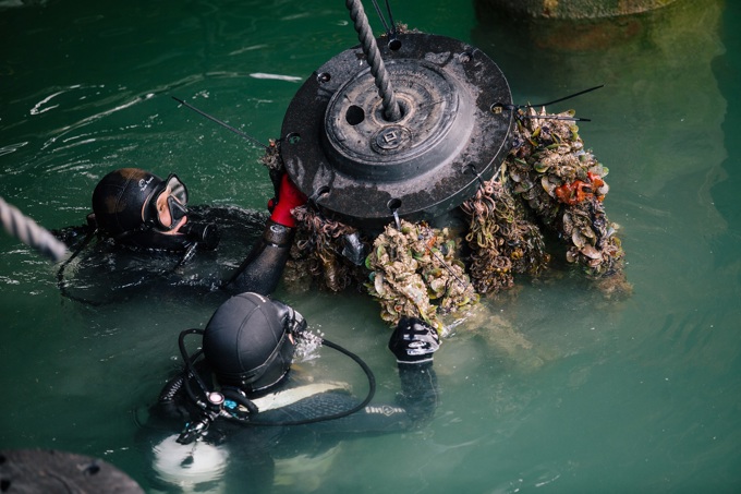 38 seeded mussel lines filter seawater from beneath Te Wananga (4)