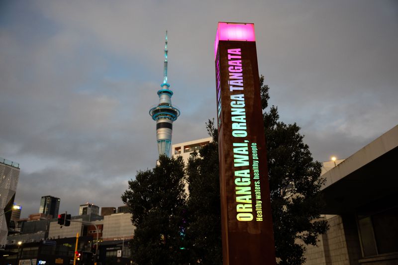 Oranga Wa, Oranga Tangata installation. 