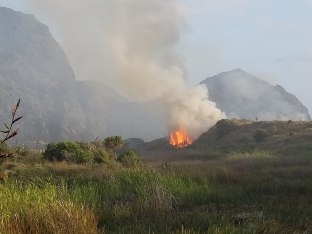 Karekare fire 2