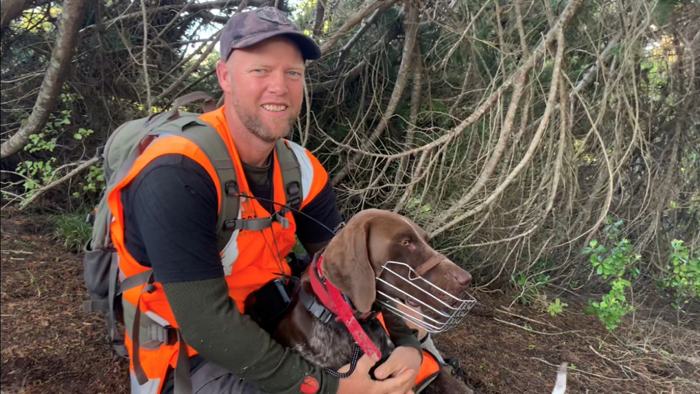 A conservationist with a stoat detection dog