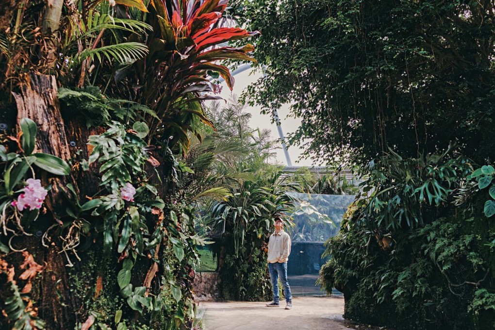 Auckland Zoo South East Asia Track Swamp