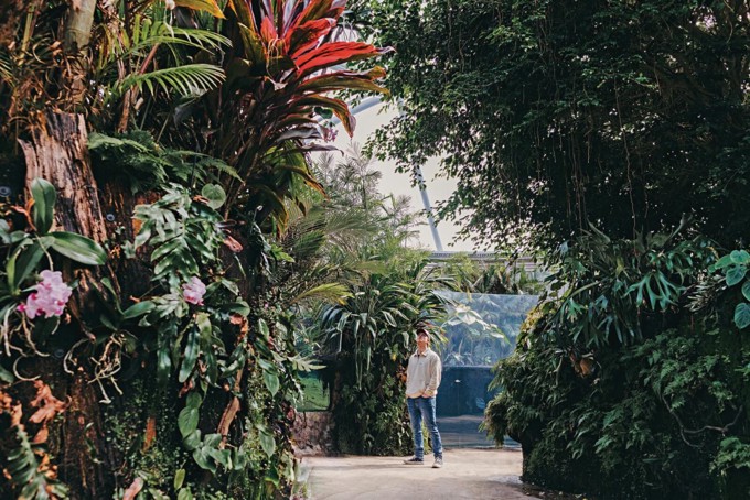 Auckland Zoo South East Asia Track Swamp