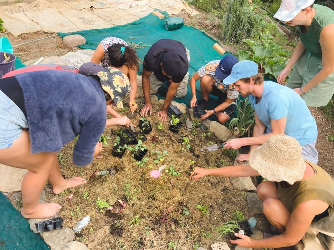 Love Food Hate Waste 2