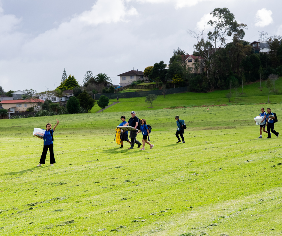 Bug finding session.