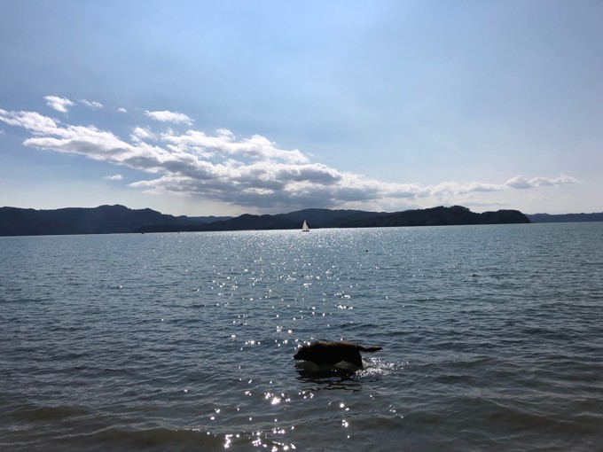 Papakura adopts work programmes