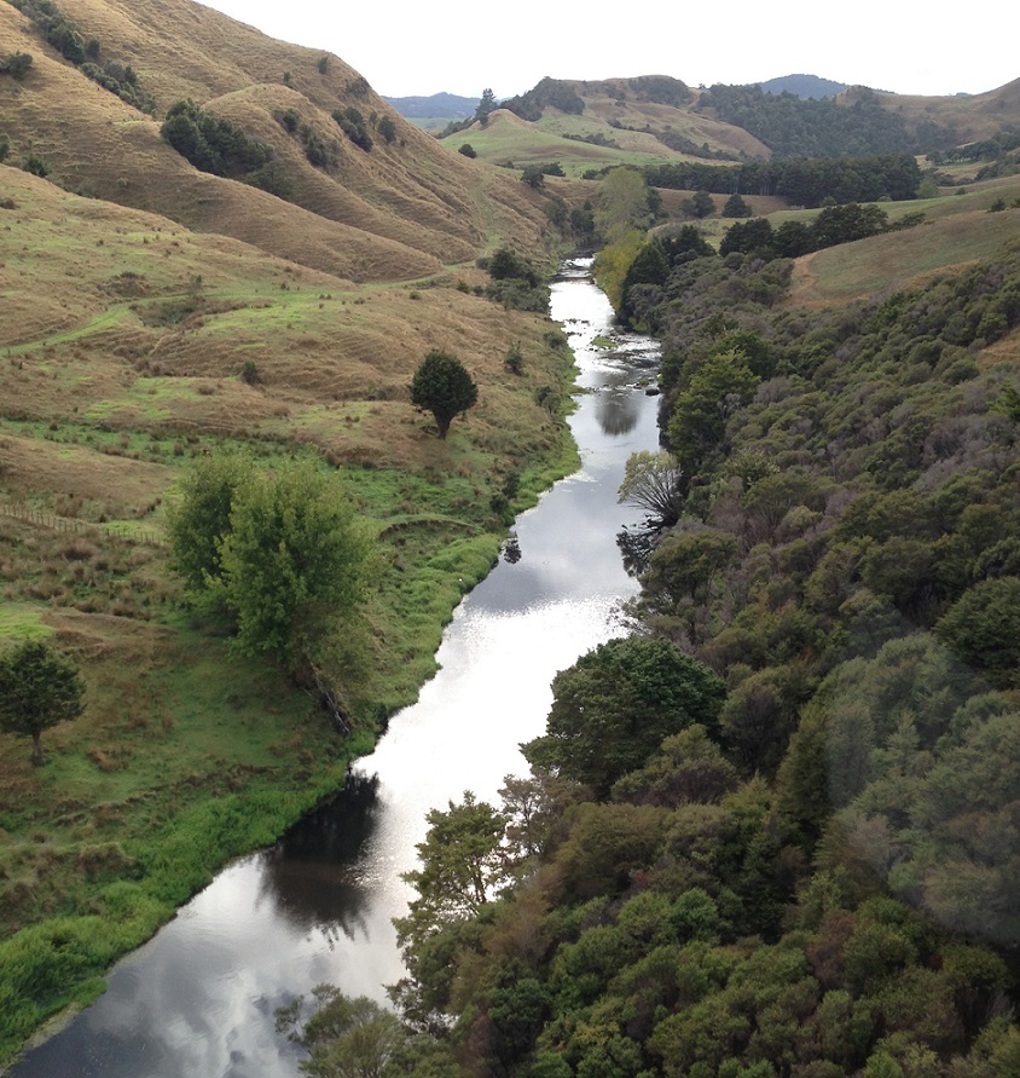 Cleaning up Aucklands waterways a metre at a time 03