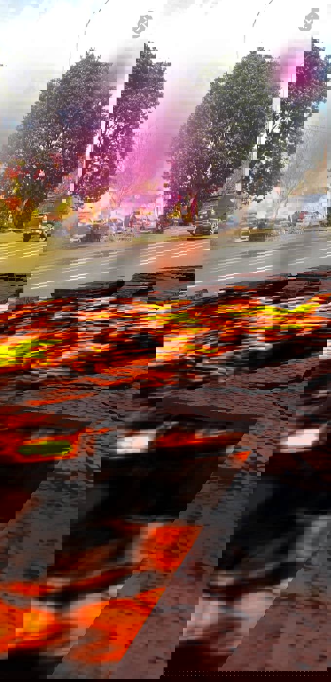 Step back in time with Auckland's augmented reality tour (3)