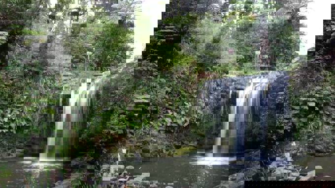 Find a walk, track or trail in Orakei (1)