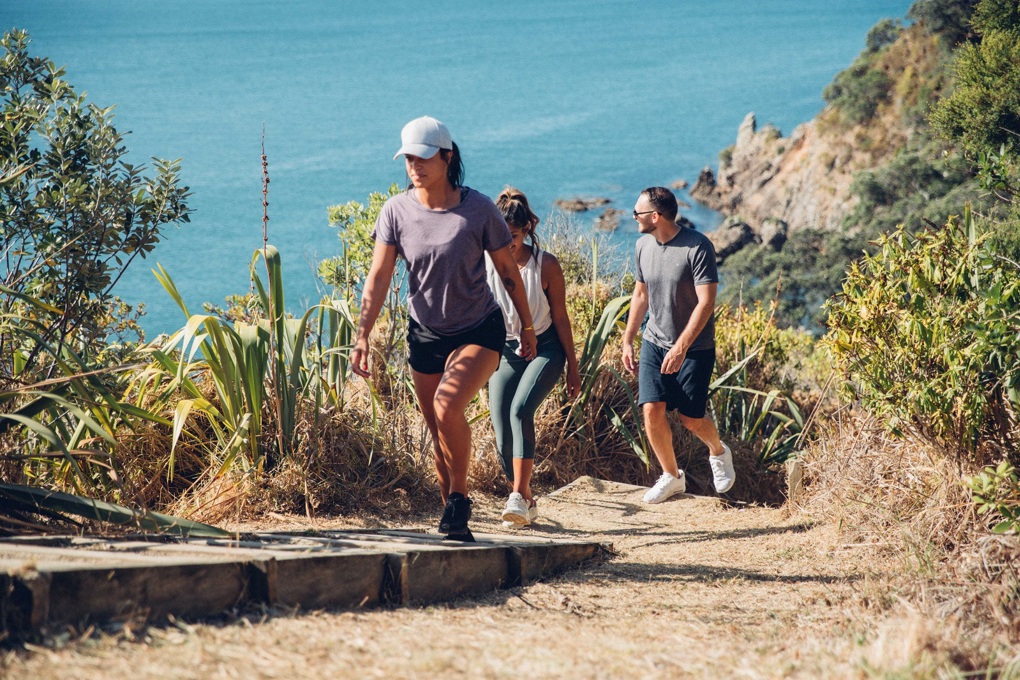 Half-day hikes around Tamaki Makaurau