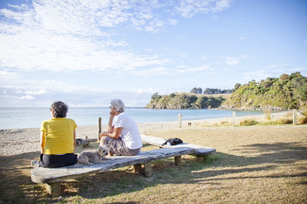 Waiheke water plan