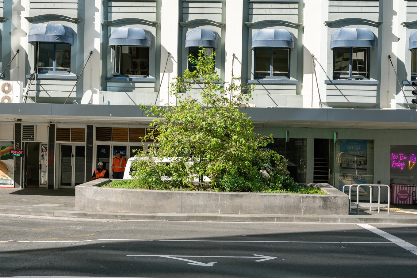 Bush in one of the Auckland City Centre streets. 