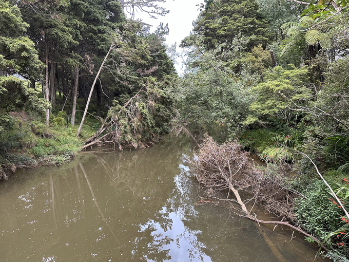 Matakana River
