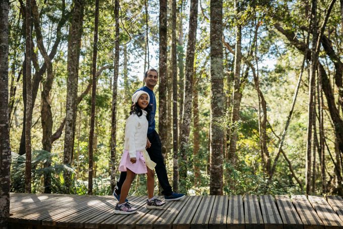 Kauri Glen Reserve