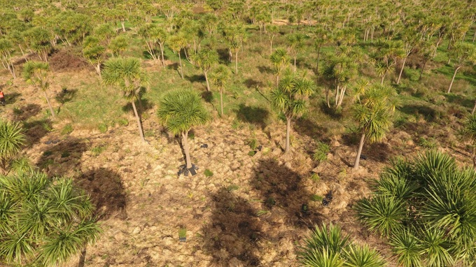 2020 Mayoral Conservation Awards open for environmental champions (2)