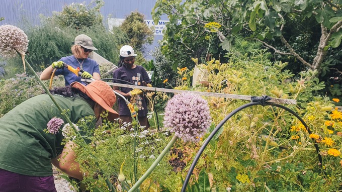 Organic Gardening Session_203m5tul.jpg