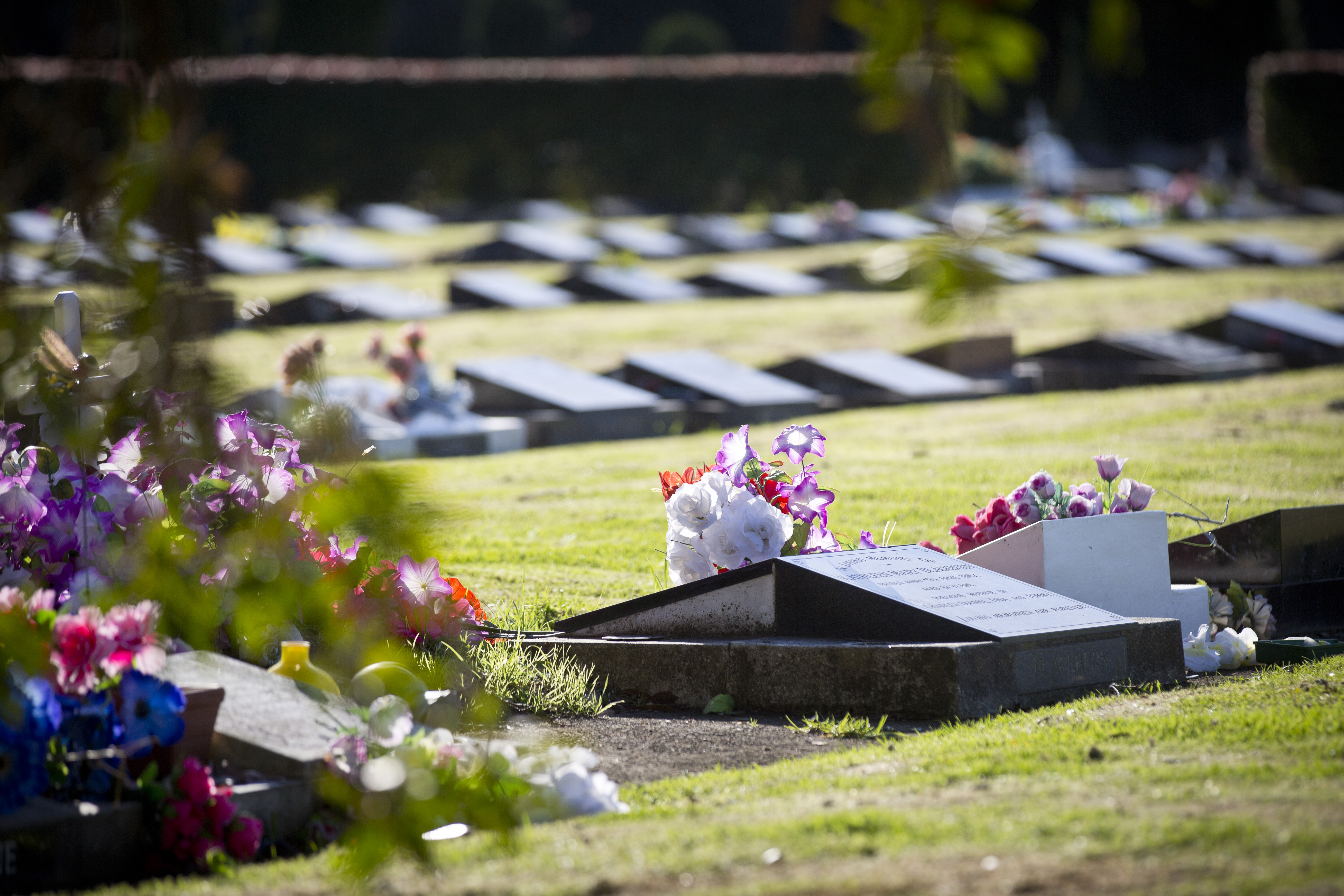 Waikaraka Park Cemetery image.