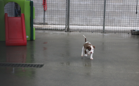 Salsa (ON HOLD) tile image