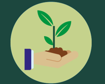 graphic illustration of a hand holding a plant seedling