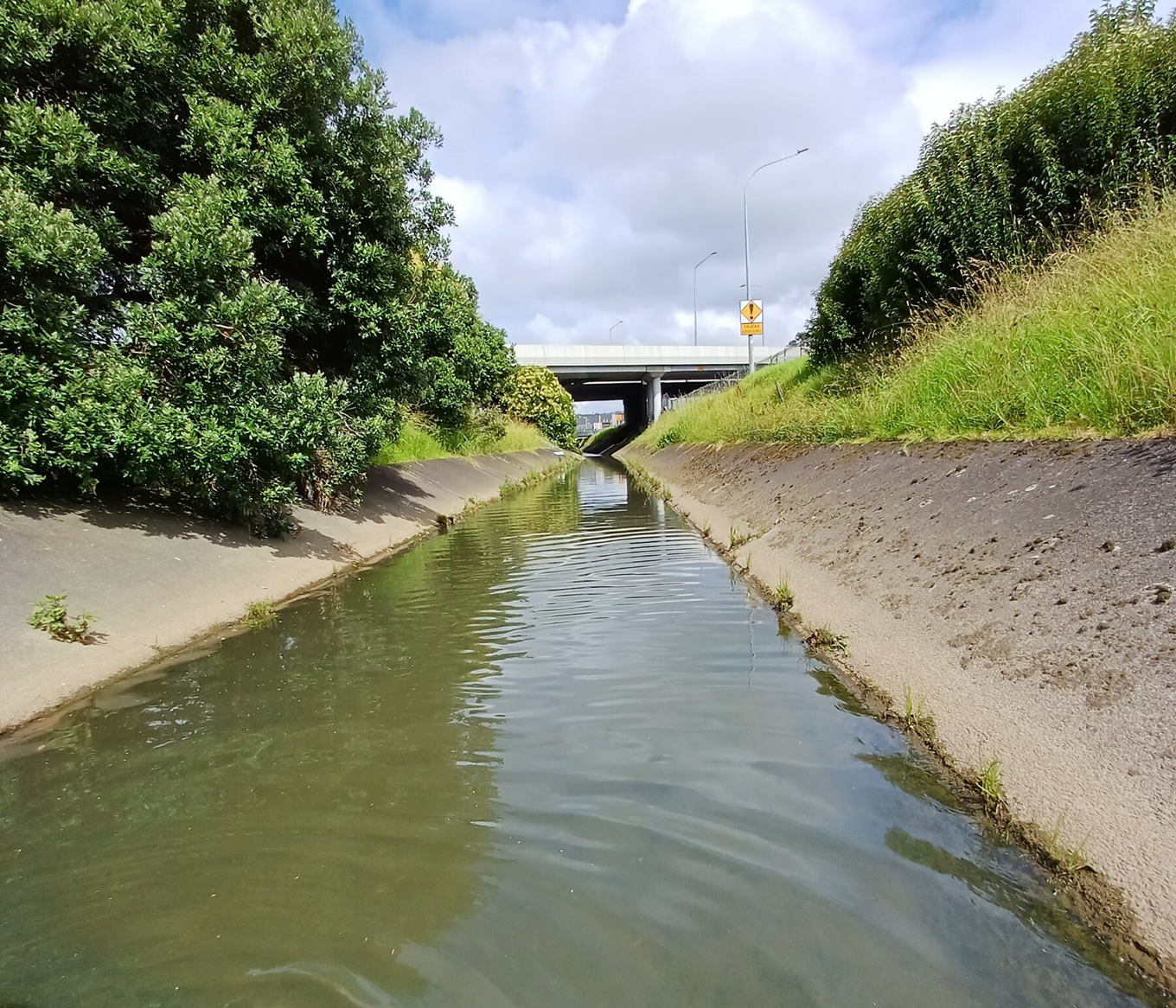 A creek running under a bridge. 