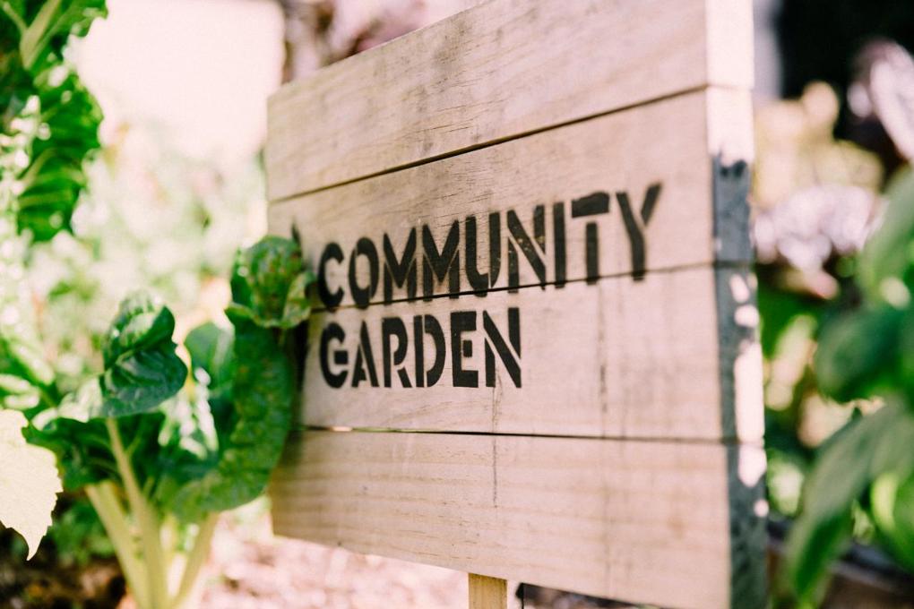Community Gardens Ecomatters New Lynn