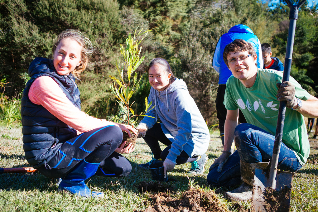 Unsworth planting day