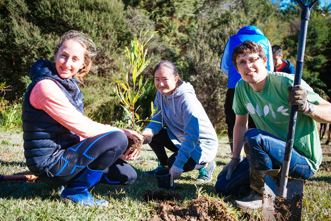 Unsworth planting day