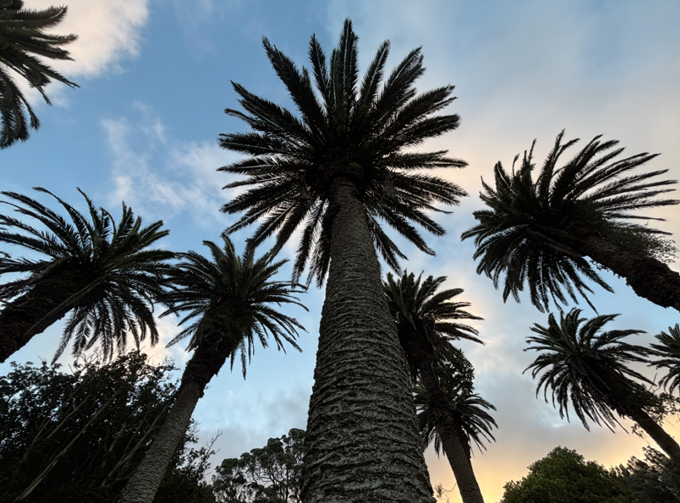 Screenshot 2026-04-02 173801_sszha4ms.png