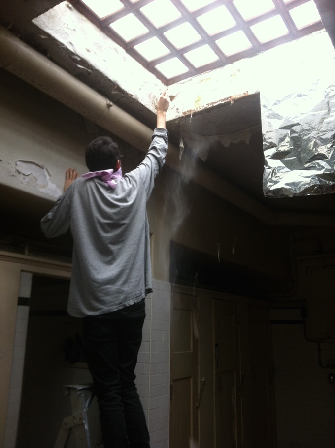 Designer loos on Wellesley 4