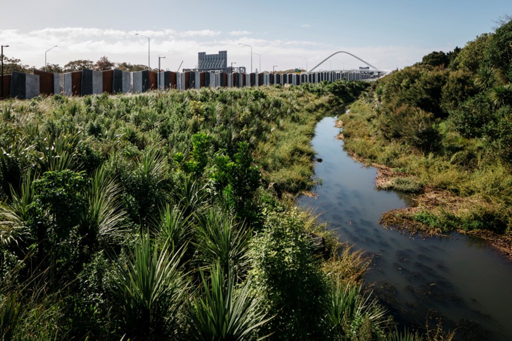 Mangere catchment