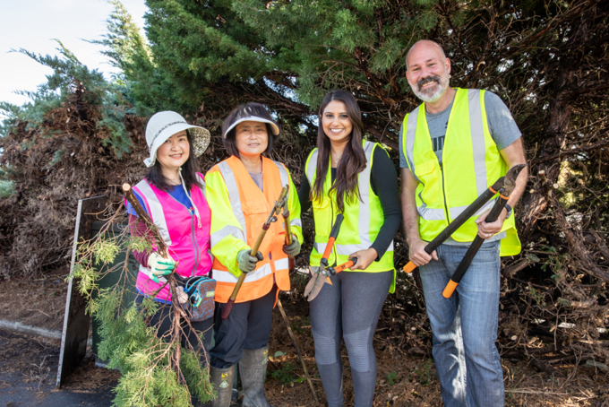Mt Albert Town Centre spruce up