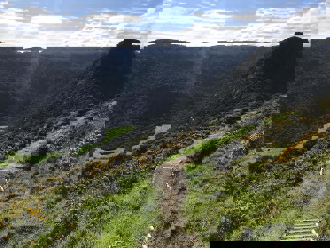 Aucklanders thanked for fighting kauri dieback