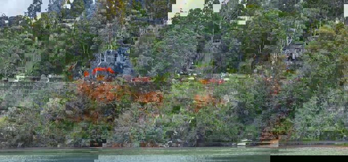 Paturoa Road, Titirangi May 2025