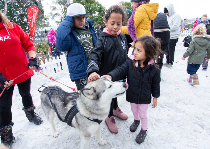 Family with Husky at community event