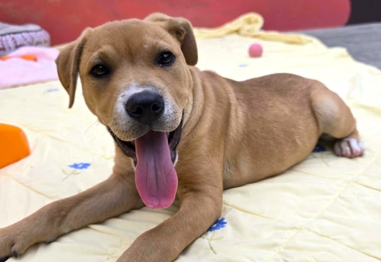 662889130 928778179943672 5926651717454120637 N