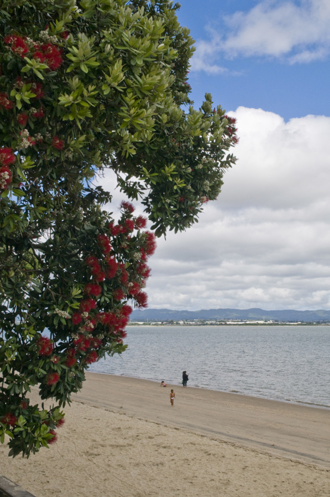 pt chev beach compressed.jpg