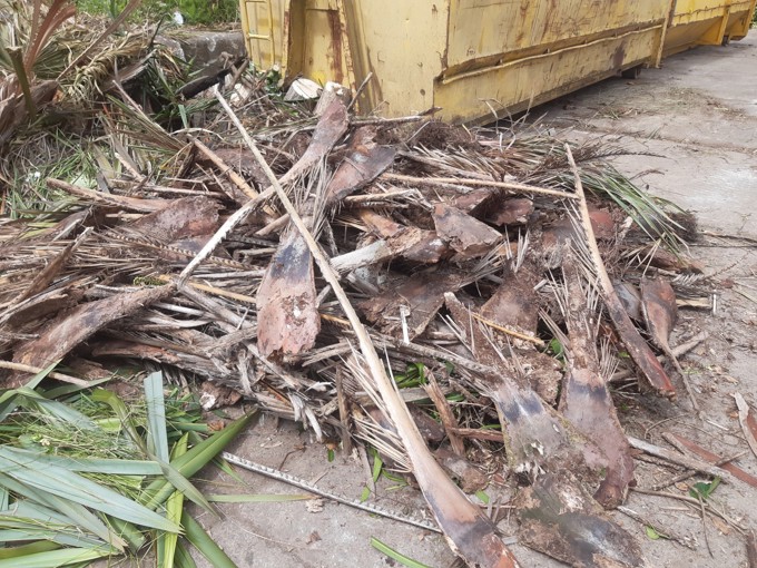 Waitakere Mulch Image 2