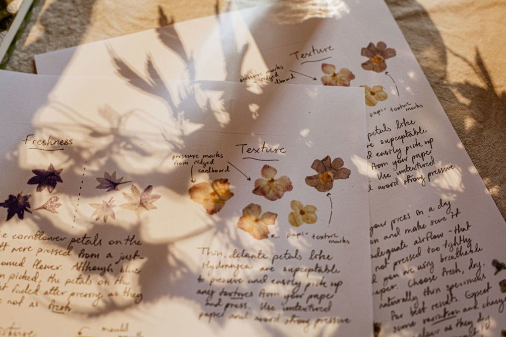 Flower Pressing workshop Howick Historical Village Taylor Aumua 7 _0izxgd2x.jpeg
