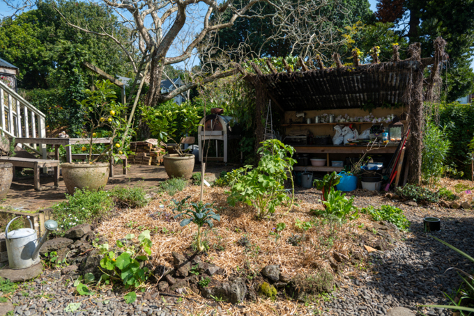 Albert Eden Sustainable Garden Trail 1