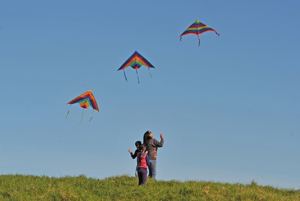 Manu Aute Kites (1)