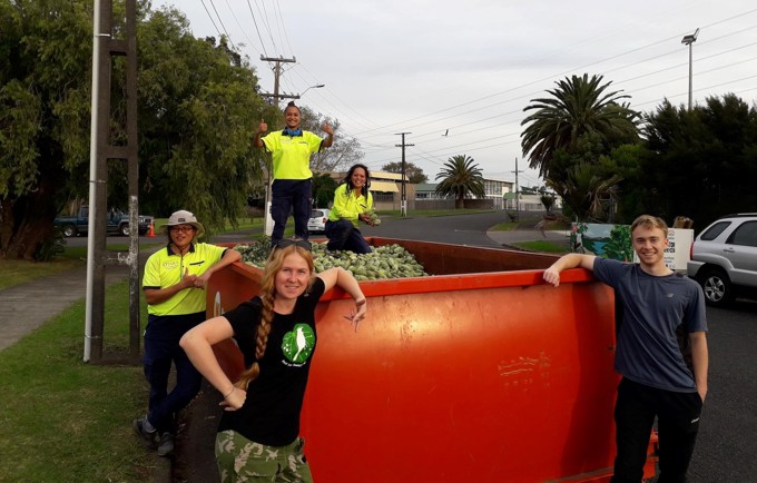 Pest Free Urban South Moth Collection (1)