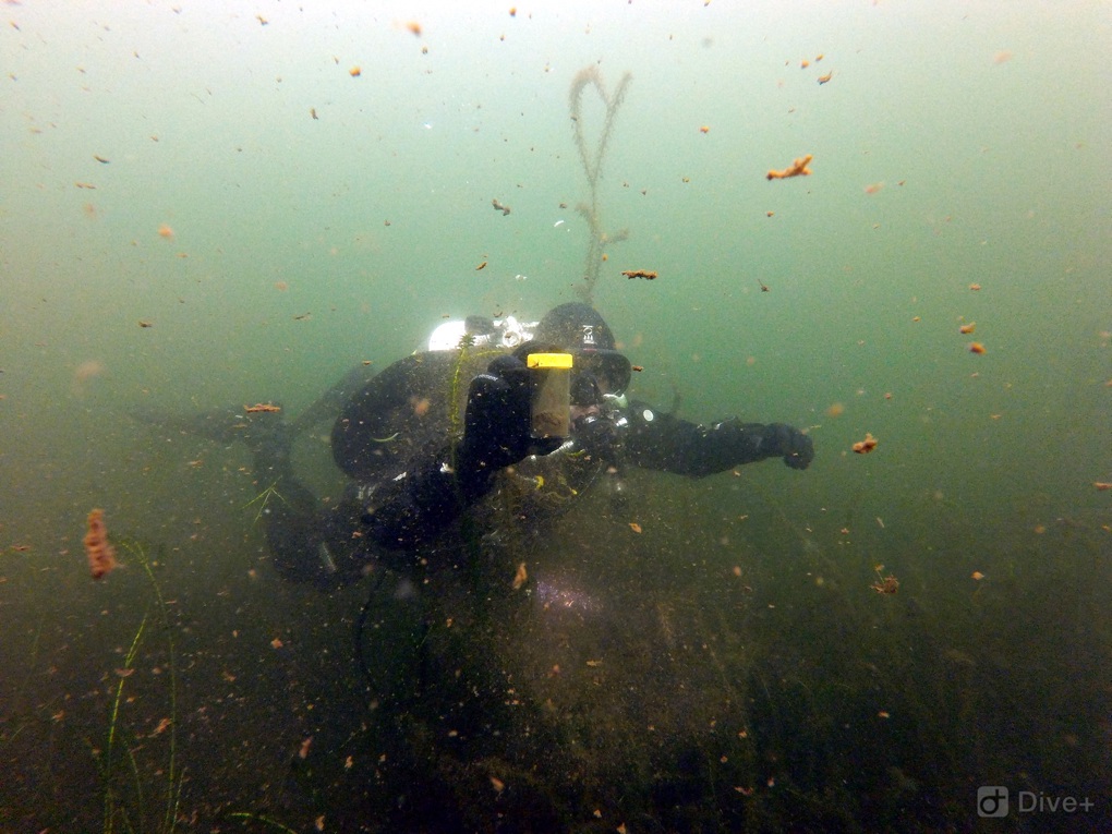 Lake Pupuke1