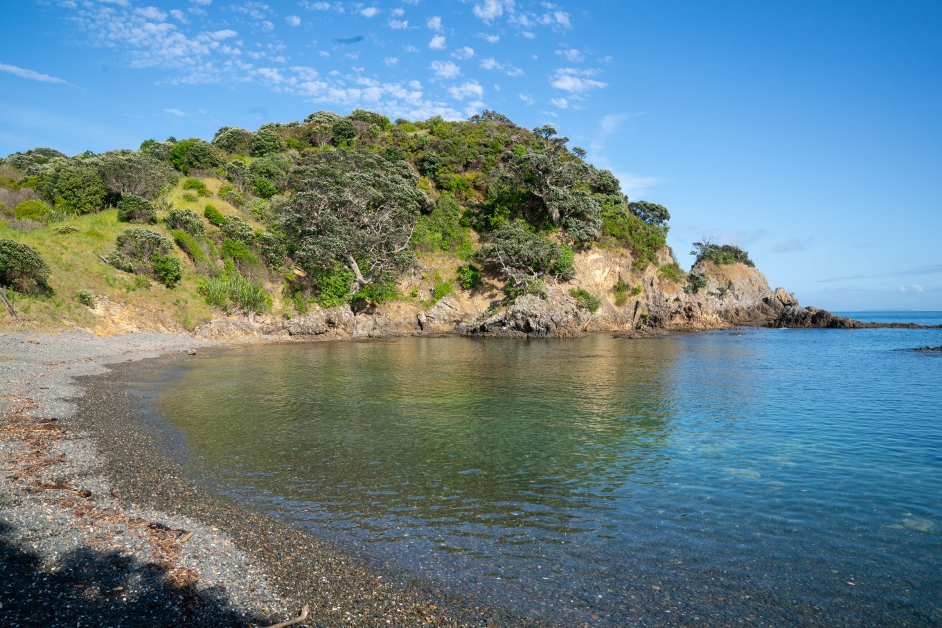Island Bay as part of the Te Ara Hura path. 