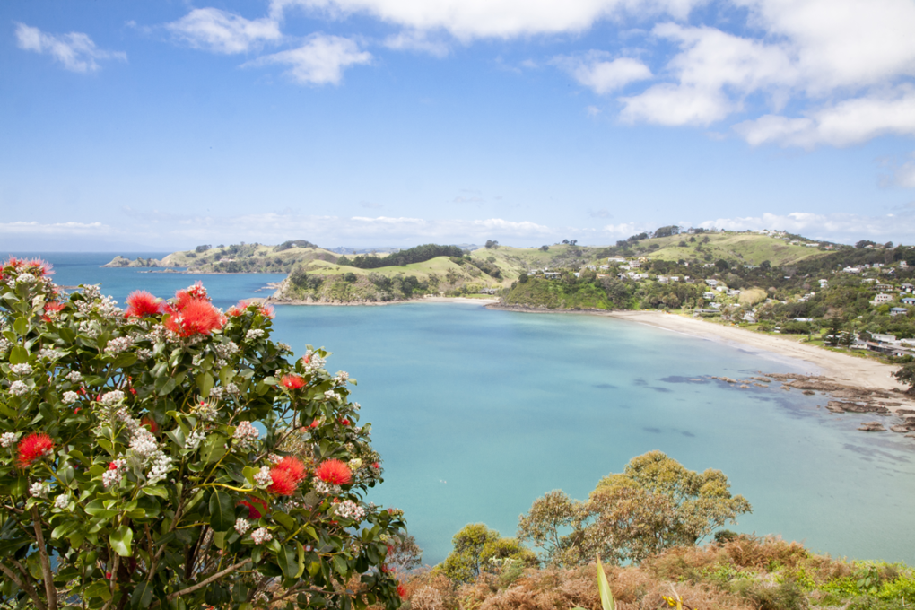 Auckland Council welcomes support for Sea Change
